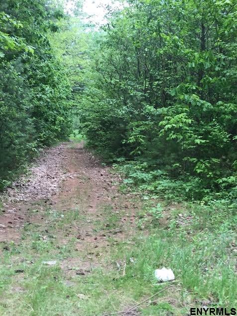 TURKEY FARM RD, Mayfield, NY 12078