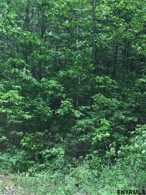 TURKEY FARM RD, Mayfield, NY 12078