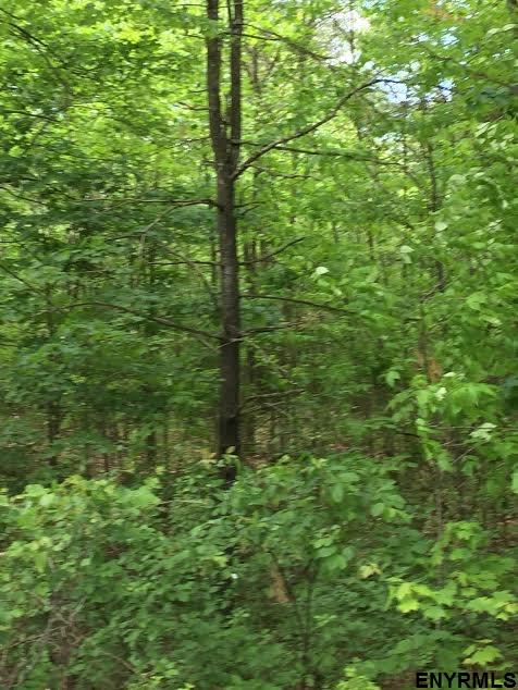 TURKEY FARM RD, Mayfield, NY 12078