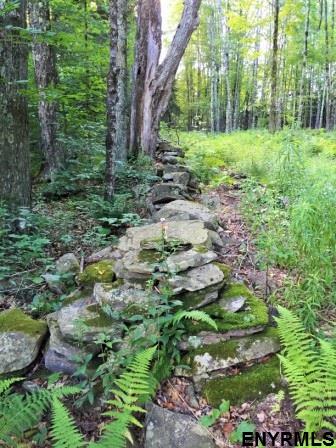 121 ALLEN RD, Jefferson, NY 12093