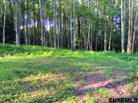 121 ALLEN RD, Jefferson, NY 12093