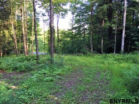 121 ALLEN RD, Jefferson, NY 12093