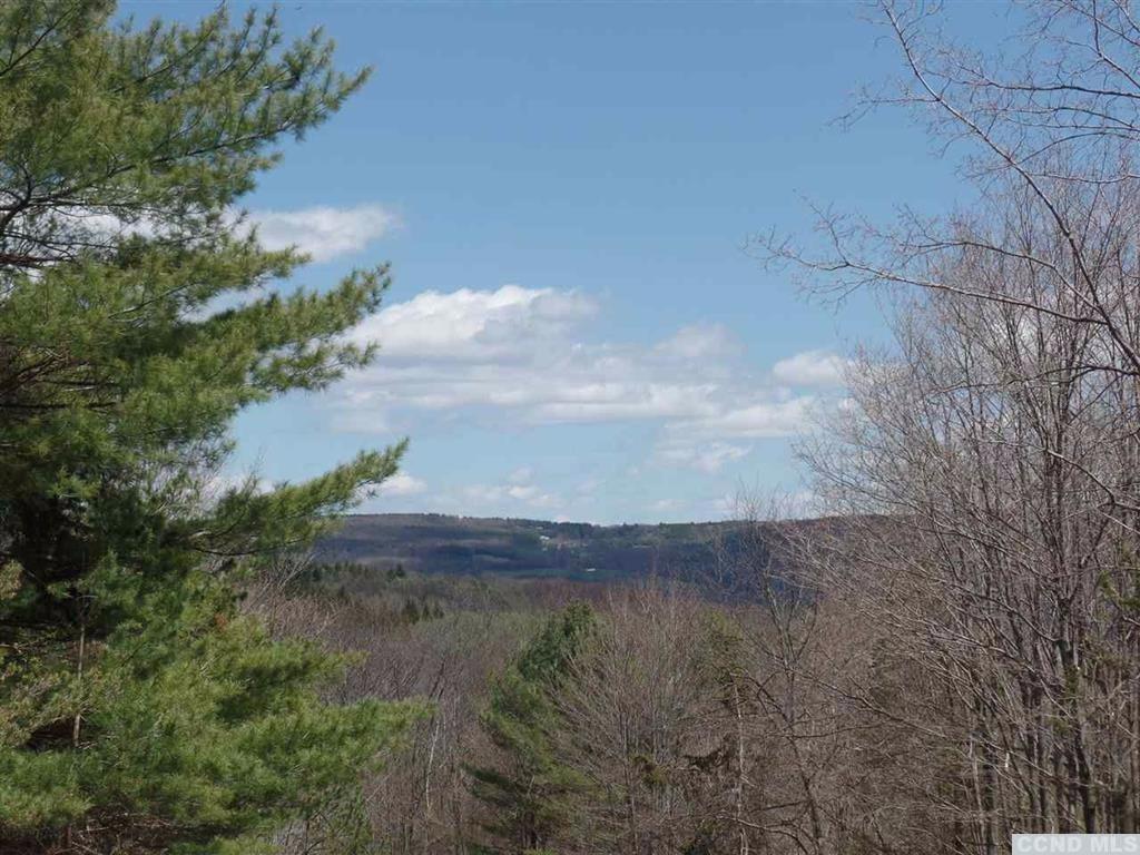 0 East Street West, Broome, NY 12122