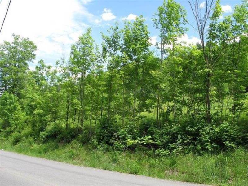 0 Guinea Rd, Gilboa, NY 12122