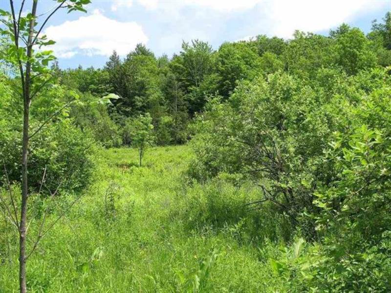 0 Guinea Rd, Gilboa, NY 12122