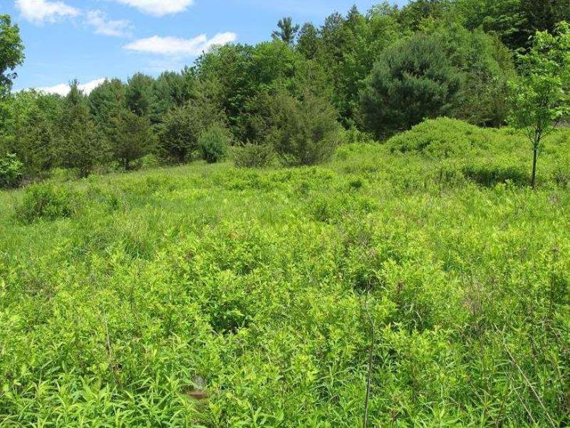 0 Guinea Rd, Gilboa, NY 12122