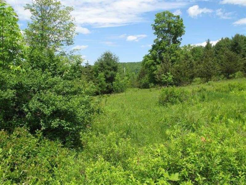 0 Guinea Rd, Gilboa, NY 12122