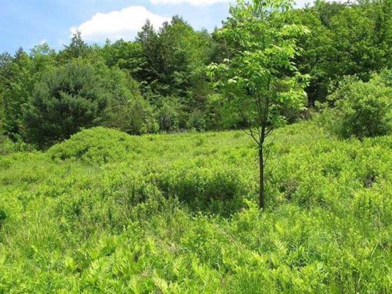 0 Guinea Rd, Gilboa, NY 12122