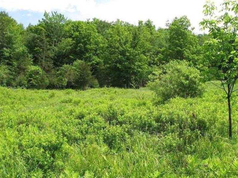 0 Guinea Rd, Gilboa, NY 12122