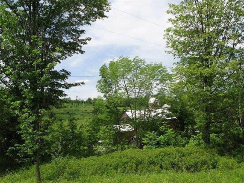 0 Guinea Rd, Gilboa, NY 12122