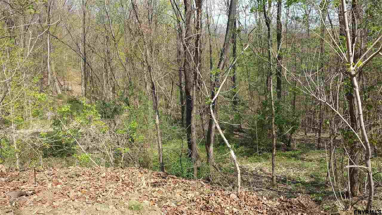 0 CAMPBELL AV, Castleton On Hudson, NY 12123