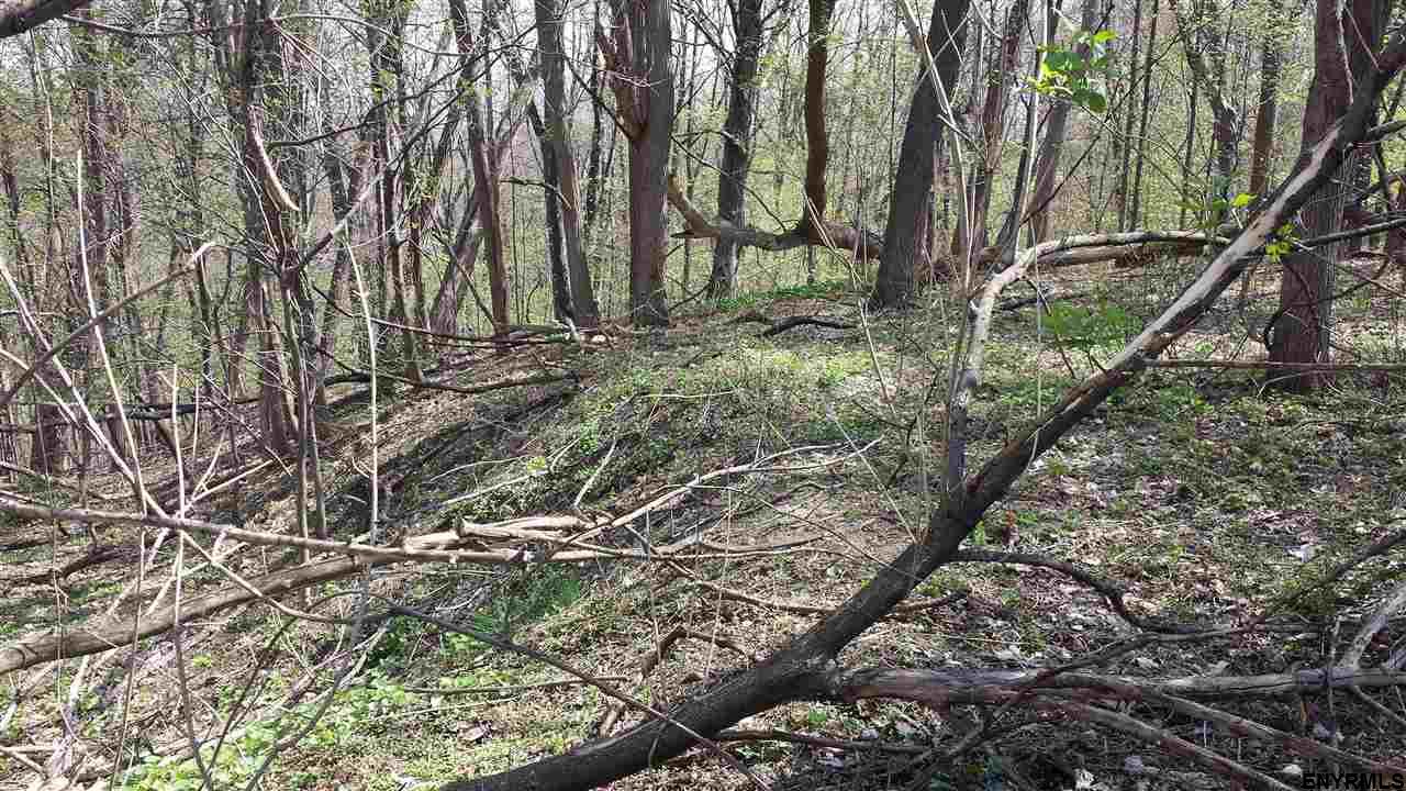 0 CAMPBELL AV, Castleton On Hudson, NY 12123