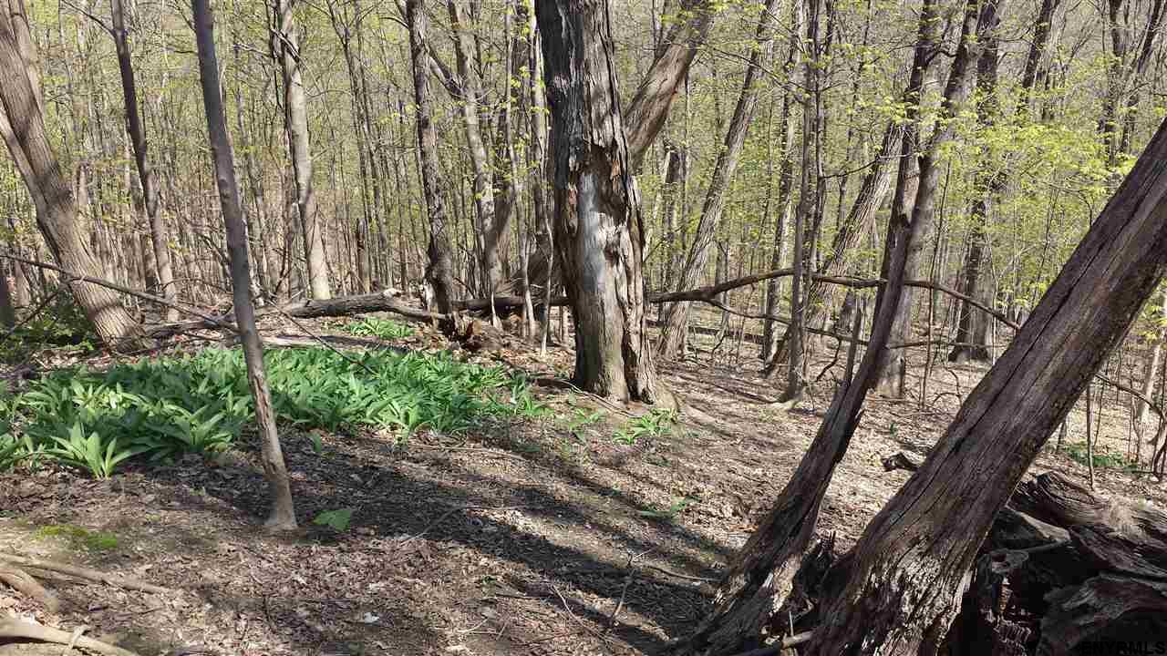 0 CAMPBELL AV, Castleton On Hudson, NY 12123