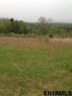Lot #2 BLODGETT HILL RD, Coeymans, NY 12143