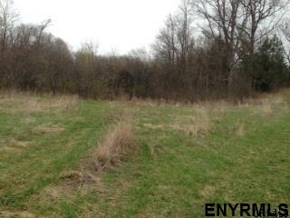 Lot #2 BLODGETT HILL RD, Coeymans, NY 12143
