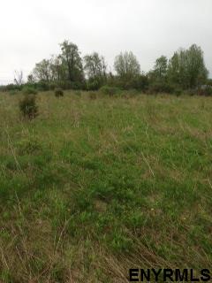 Lot #2 BLODGETT HILL RD, Coeymans, NY 12143