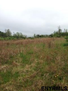 Lot #2 BLODGETT HILL RD, Coeymans, NY 12143