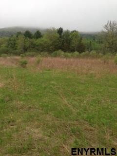 Lot #2 BLODGETT HILL RD, Coeymans, NY 12143
