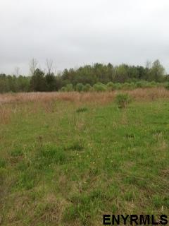 Lot #2 BLODGETT HILL RD, Coeymans, NY 12143