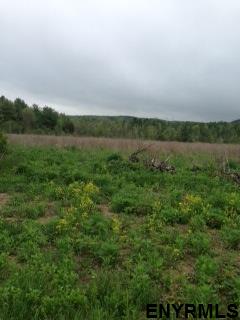 Lot #2 BLODGETT HILL RD, Coeymans, NY 12143