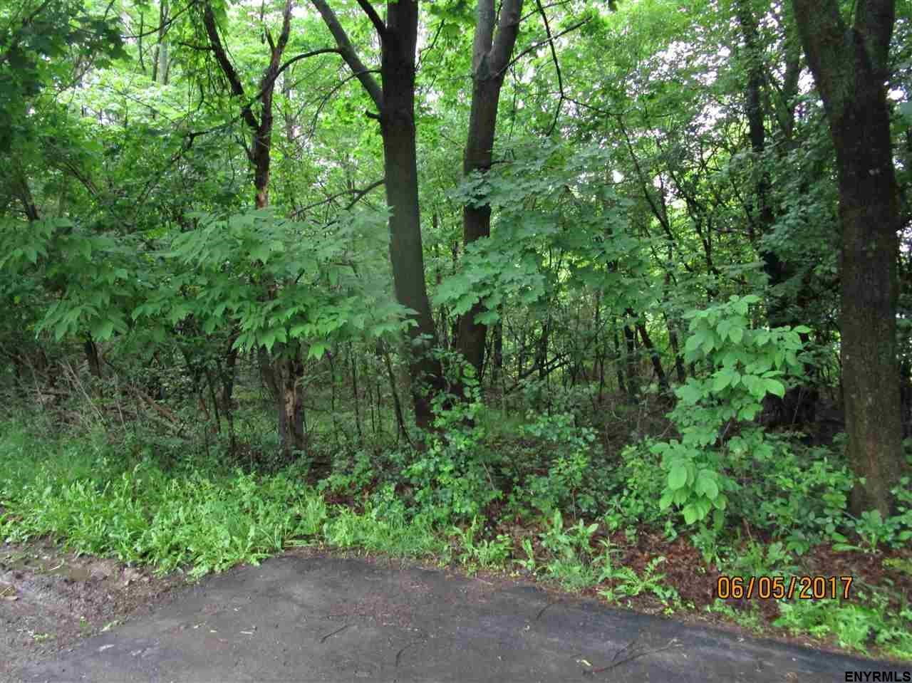 0 MINNESOTA AV, North Greenbush, NY 12144