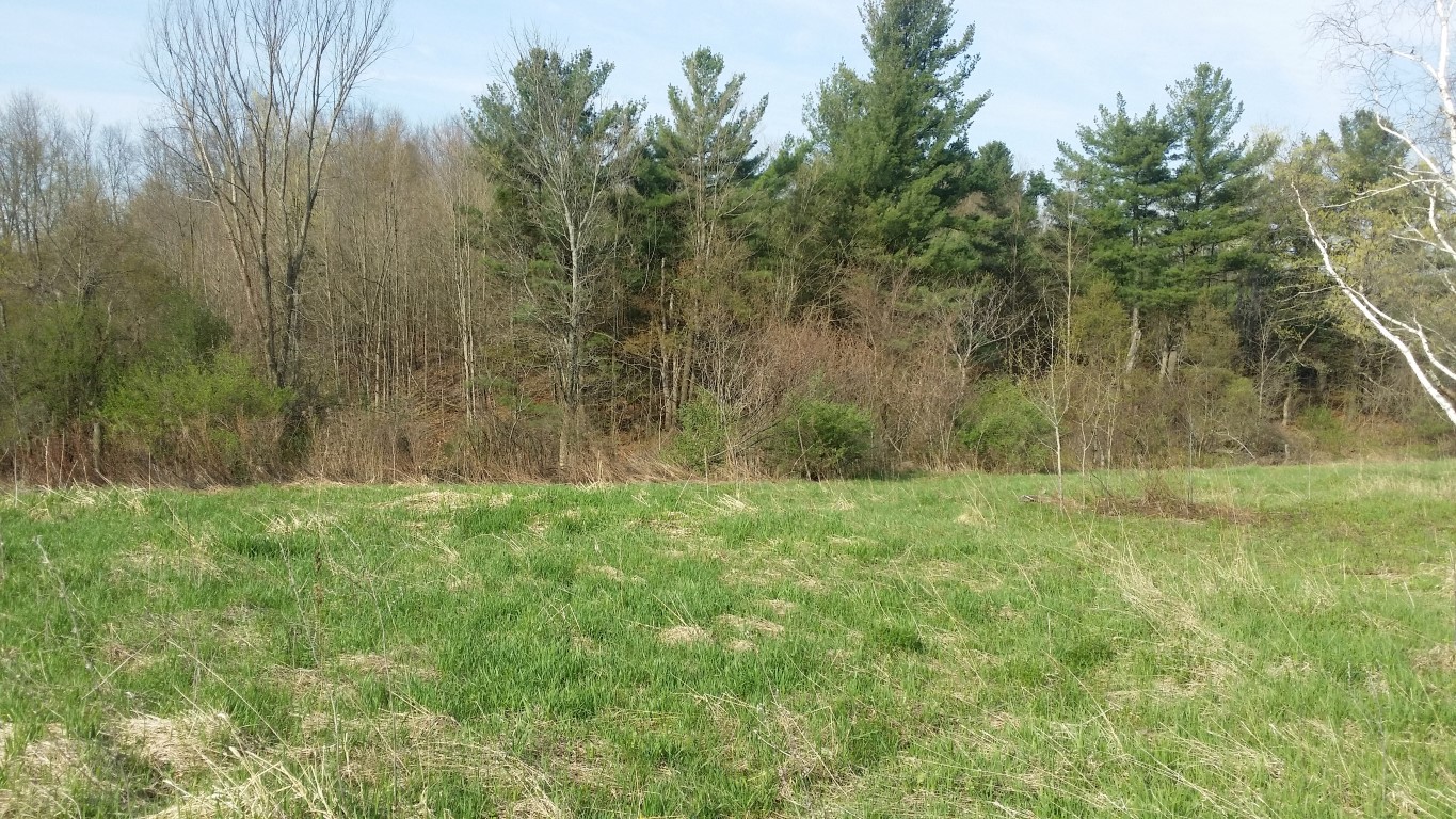 378 Knox Rd, Wright, NY 12157