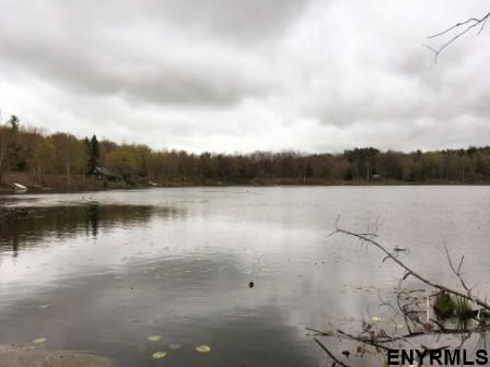 x BOBBYS WAY, Summit, NY 12175