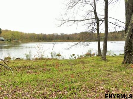 x BOBBYS WAY, Summit, NY 12175