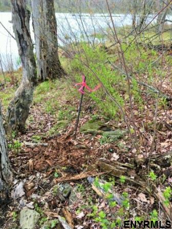x BOBBYS WAY, Summit, NY 12175