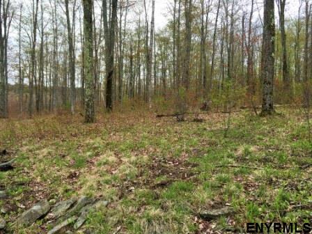 x BOBBYS WAY, Summit, NY 12175