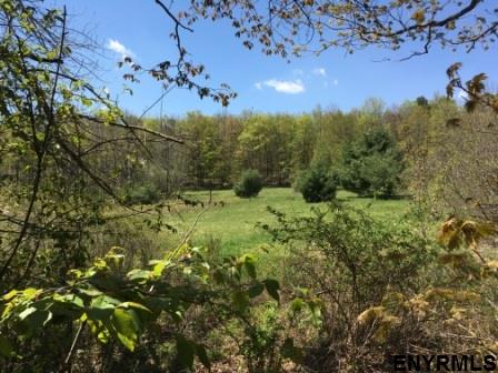 x BOBBYS WAY, Summit, NY 12175