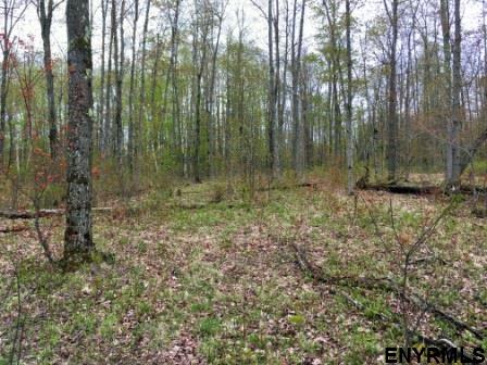 x BOBBYS WAY, Summit, NY 12175