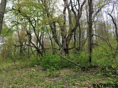 x BOBBYS WAY, Summit, NY 12175