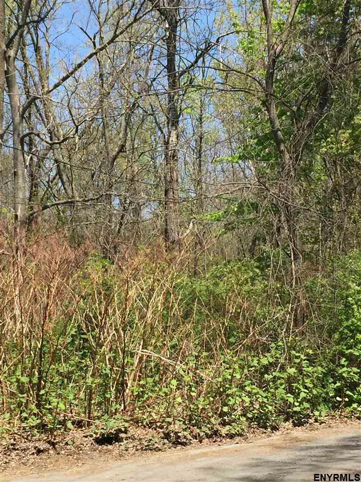 0 LATHROPE AV, Schenectady, NY 12304