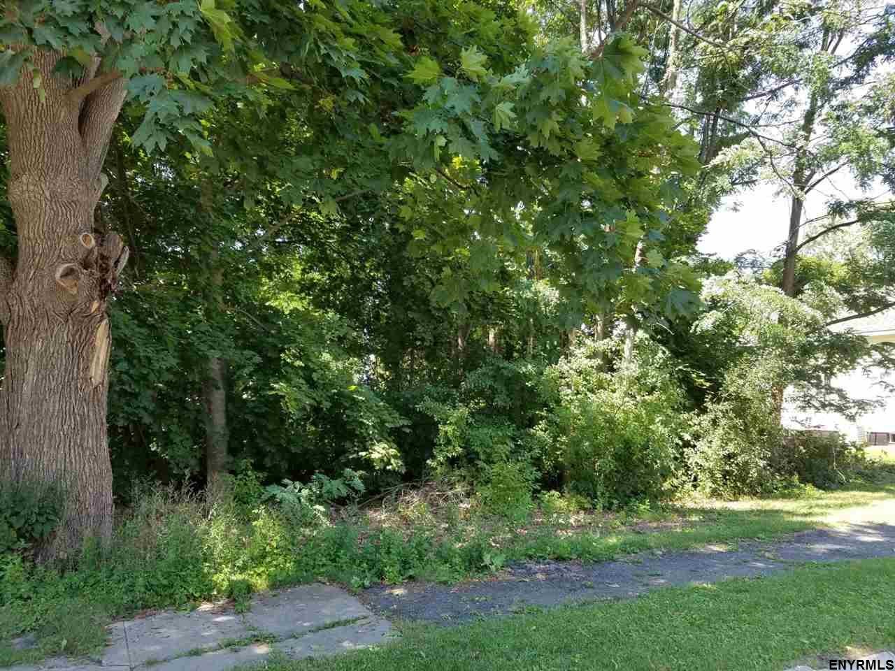 Lot 1 AVENUE B, Schenectady, NY 12308