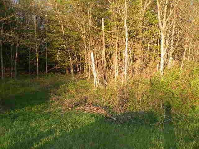 BIEGEL ROAD, Ashland, NY 12407