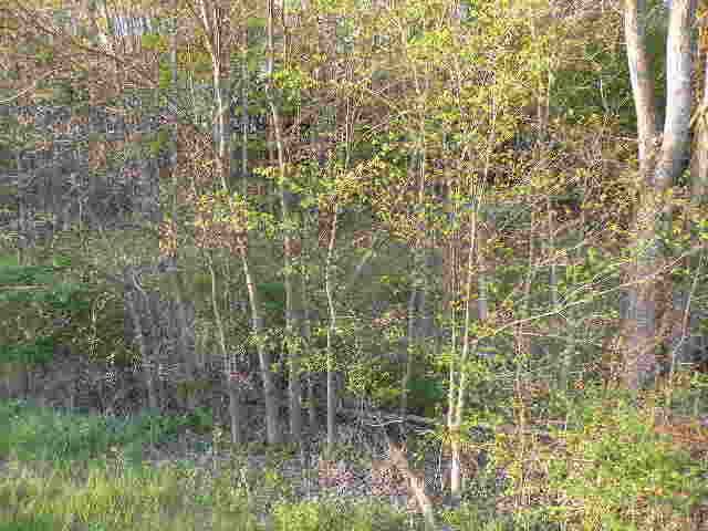 BIEGEL ROAD, Ashland, NY 12407