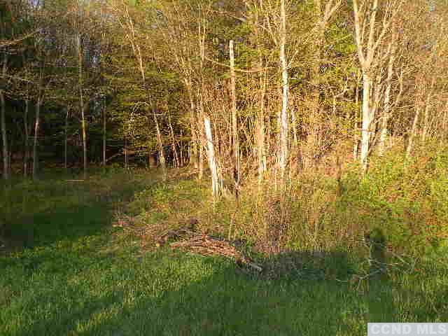 0 Biegel Road, Ashland, NY 12407