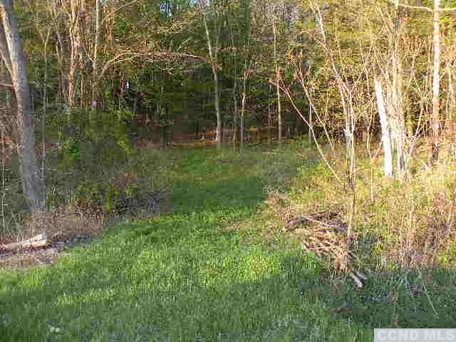 0 Biegel Road, Ashland, NY 12407