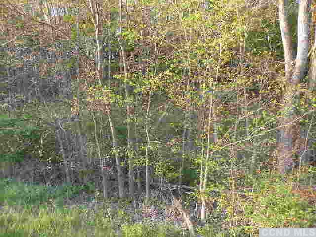 0 Biegel Road, Ashland, NY 12407