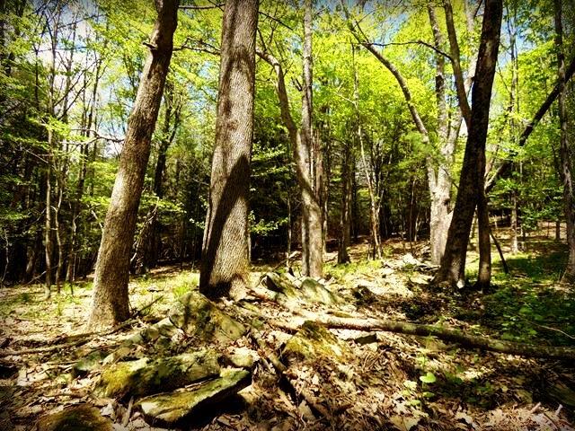 0 Tarigo Rd., Middletown, NY 12430