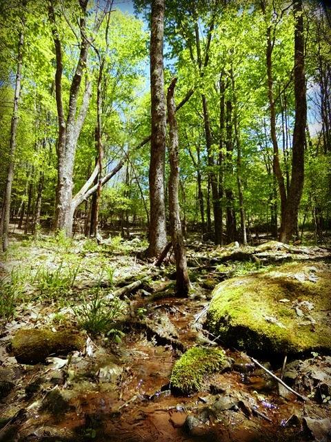 0 Tarigo Rd., Middletown, NY 12430