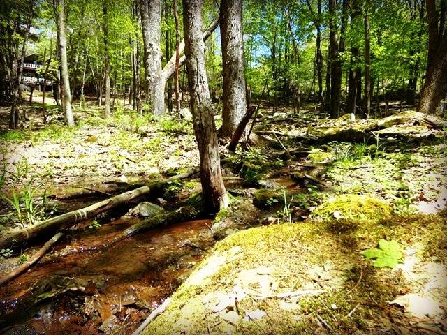 0 Tarigo Rd., Middletown, NY 12430