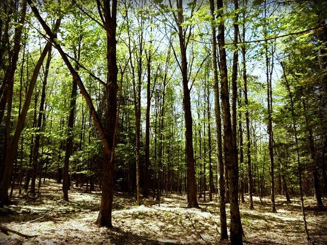 0 Tarigo Rd., Middletown, NY 12430