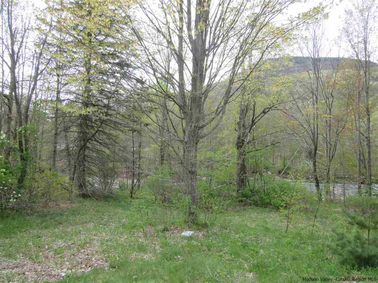 8207 Main Street, Hunter, NY 12442
