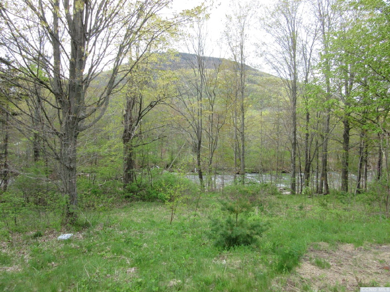 8207 Main #St, Hunter, NY 12442