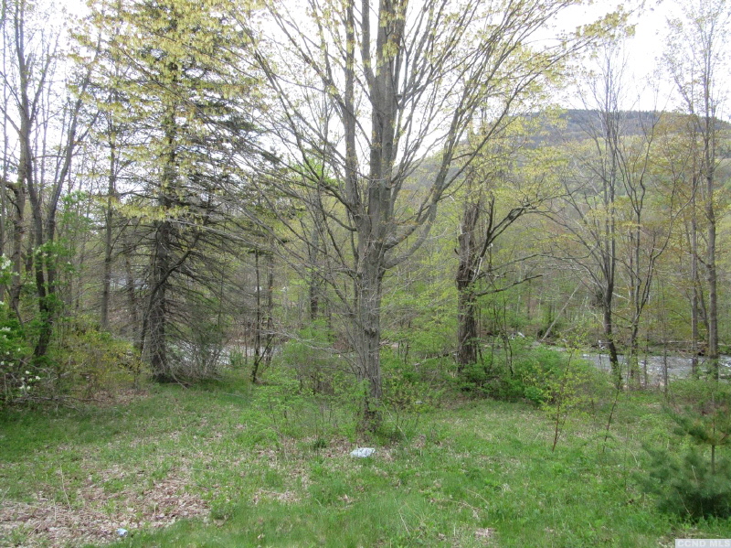 8207 Main #St, Hunter, NY 12442