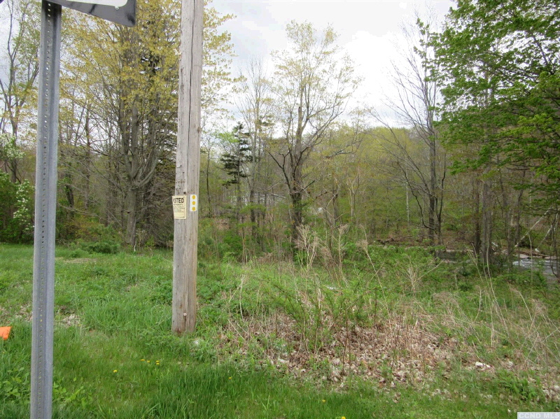 8207 Main #St, Hunter, NY 12442