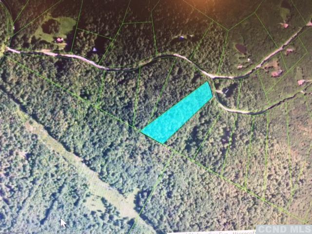 0 Terrace Drive, Lexington, NY 12452