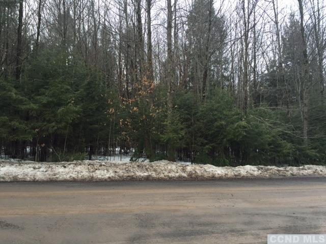 0 Terrace Drive, Lexington, NY 12452